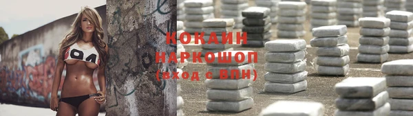 эйфоретик Гусь-Хрустальный