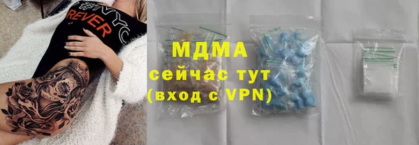 эйфоретик Гусь-Хрустальный