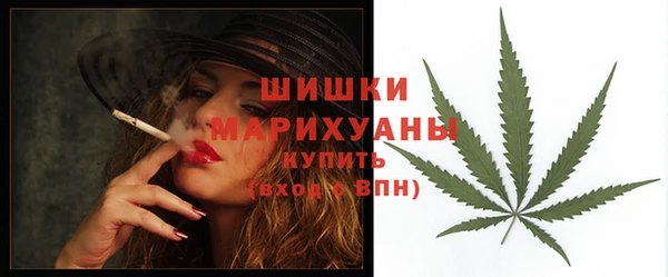эйфоретик Гусь-Хрустальный