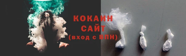 ешки Гусев