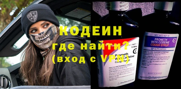 ешки Гусев