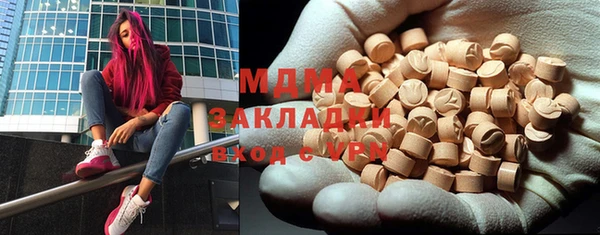 эйфоретик Гусь-Хрустальный