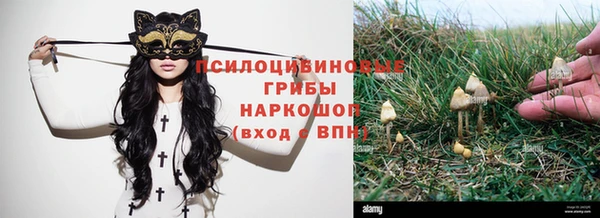эйфоретик Гусь-Хрустальный