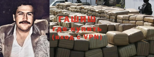 ешки Гусев