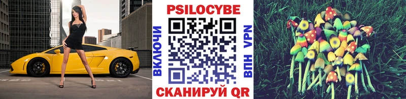 Купить закладки  Ликино-Дулёво  Галлюциногенные грибы Magic Shrooms 