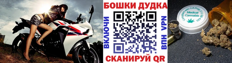 Шишки марихуана OG Kush Ликино-Дулёво